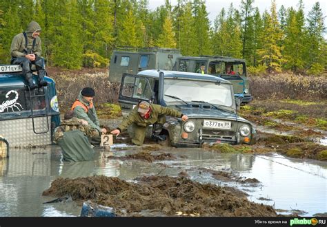 По уши в грязи в воде до самых глаз с Пикабу