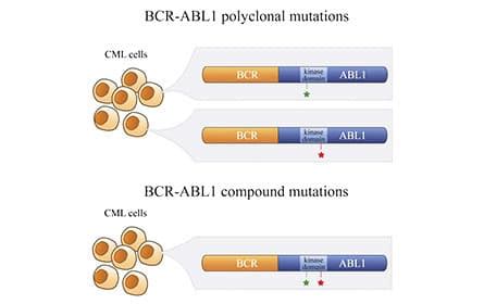 Versiti Strategies To Target Bcr Abl Compound Mutants In Cml And Ph