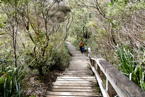 Rangitoto Volcano - The Newest of Aucklands Volcanoes