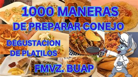 Como Cocinar Conejos Degustacion De Platillos De Conejos Youtube