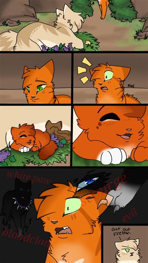 Really Firestar By Nizumifangs On Deviantart Warrior Cats Comics Warrior Cats Funny Warrior