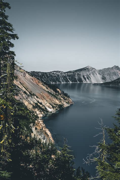 Free Photo Green Leaf Trees Near Body Of Water Crater Lake River