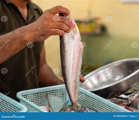 Fisherman Selling Fresh Fish At The Fish Market Stock Photo Image Of