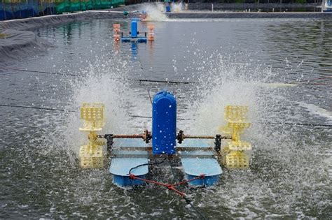 Waterwheel In A Fish Farm Or Fish Pond Stock Photo - Download Image Now ...