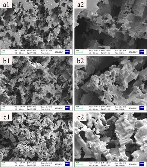 SEM Images Of Aluminium Substrate Surface Etched In HCl Solution For 1