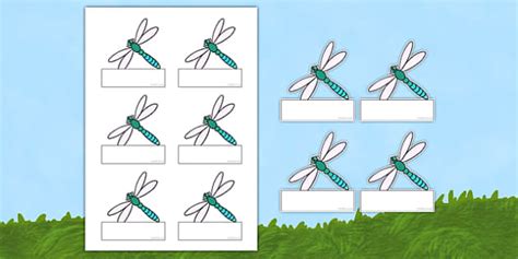 Dragonfly Themed Editable Self Registration Labels Twinkl