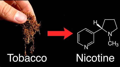 Isolating Nicotine From Worlds Strongest Tobacco Youtube