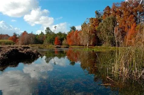 Le Parc National Del Kala 4 Top Destinations En Algérie