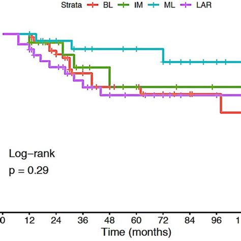 Kaplanmeier Plot For Overall Survival Until 10 Years By Tnbc Subtype