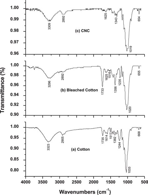 Ftir Spectra Of Cotton Bleached Cotton And Cnc Download Scientific