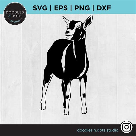 Show Goat Svg Nubian Goat Svg Boer Goat Stock Show Svg For Etsy