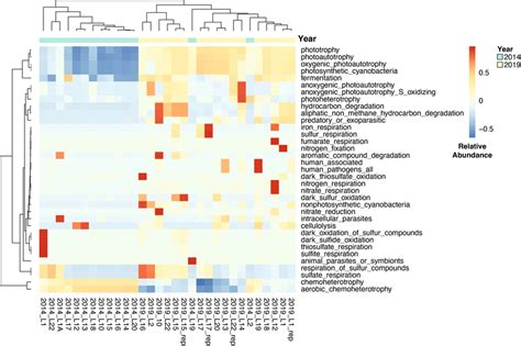 Heatmap Showing Relative Abundances Of Metabolisms Retrieved From