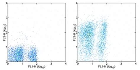 Ly 6ae Sca 1 Monoclonal Antibody D7 Pe Cyanine7 25 5981 82