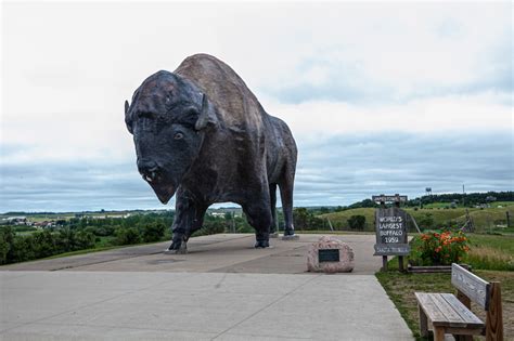 Worlds Largest Buffalo Monument In Jamestown Nd