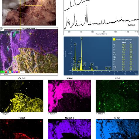 Of The Analytical Results Obtained On Sample ALI4 A Microscopic View