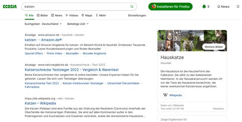 Suchmaschinen Eingangstore F R Das Surfen Im Web Ionos