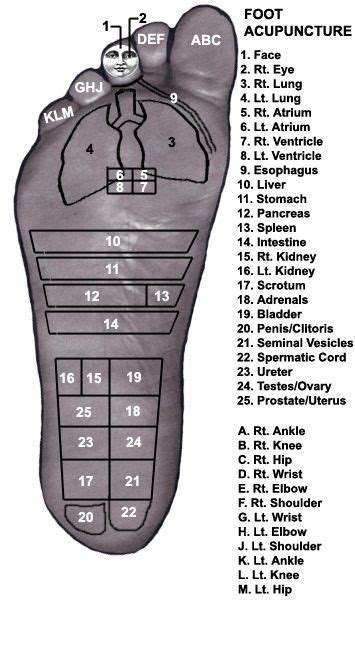 Healing Reflexology Reflexology Foot Chart Acupressure Therapy