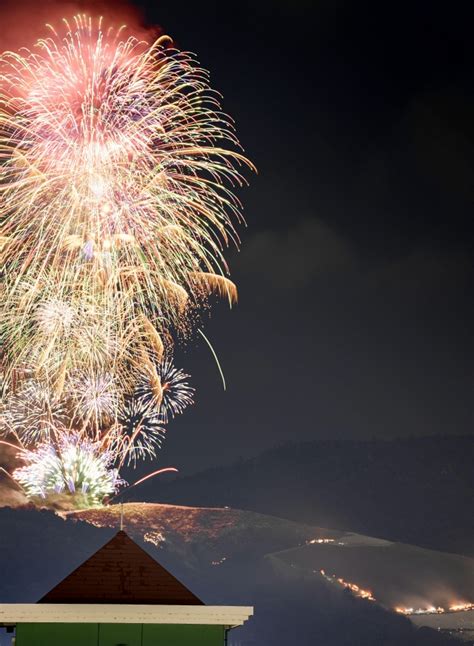 冬の夜空、大輪の花火 古都・奈良の伝統「若草山焼き」｜奈良新聞デジタル