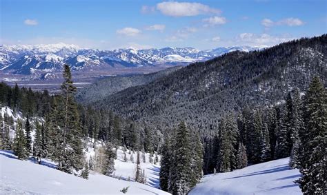 Caribou-Targhee National Forest