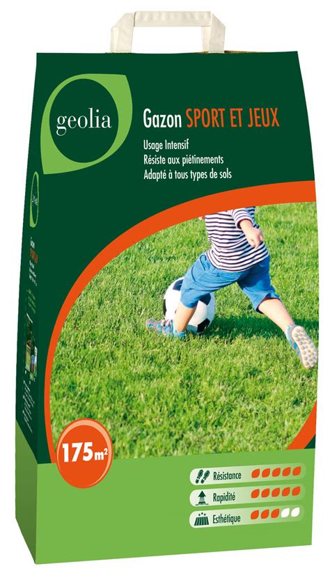 Gazon sport et jeux GEOLIA, 5 kg, 175 m² | Leroy Merlin