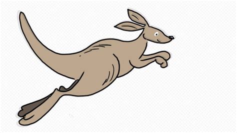 Kangaroo Jumping Drawing