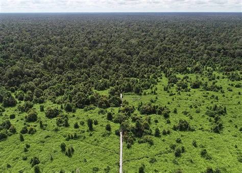 katingan mentaya project sustainable travel international