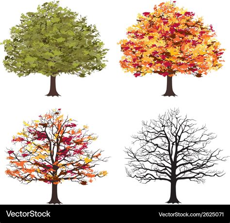 Different seasons of art tree Royalty Free Vector Image