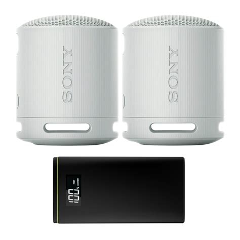 Sony SRS-XB100 Wireless Bluetooth Portable Travel Speaker (Gray, 2-Speakers) - Walmart.com