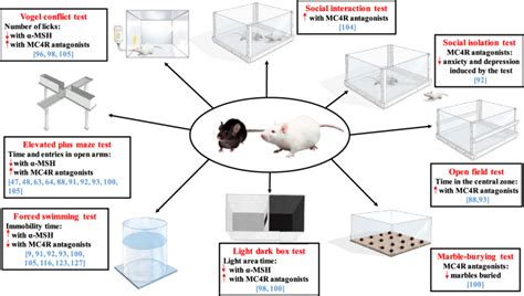 Principal Tests Performed In Rodents To Evaluate The Anxiolytic And