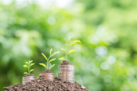 money growing concept stock photo  image  istock