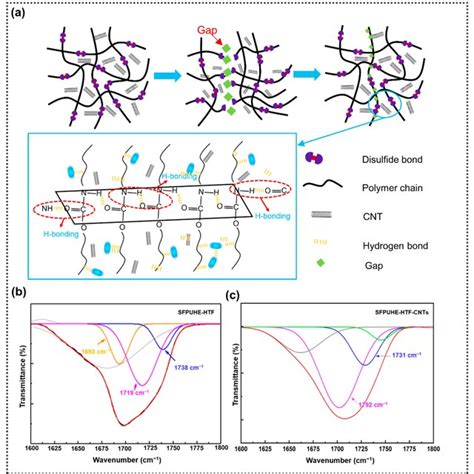 A Schematic Diagram Of The Self Healing Mechanism Of Sfpuhe Htf Cnts