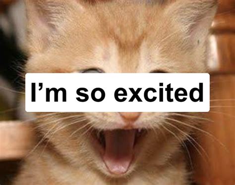 Excited Cat Meme Generator Piñata Farms The Best Meme Generator And