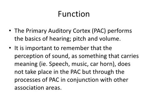 Visual and auditory cortex