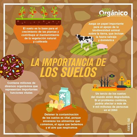 La importancia de los suelos Infografía Agua org mx