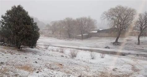 Sorprende Caída De Nieve En Varios Municipios De Chihuahua Mimusmx