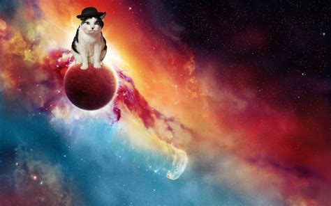 Space Cat Wallpapers - Wallpaper Cave