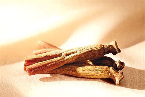 The Efficacy And Function Of Ginseng Can Ginseng Help Treat Erectile