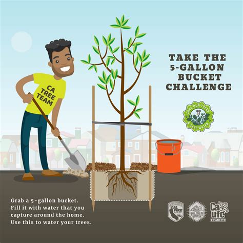 Comms Report July 2022 | California Urban Forests Council