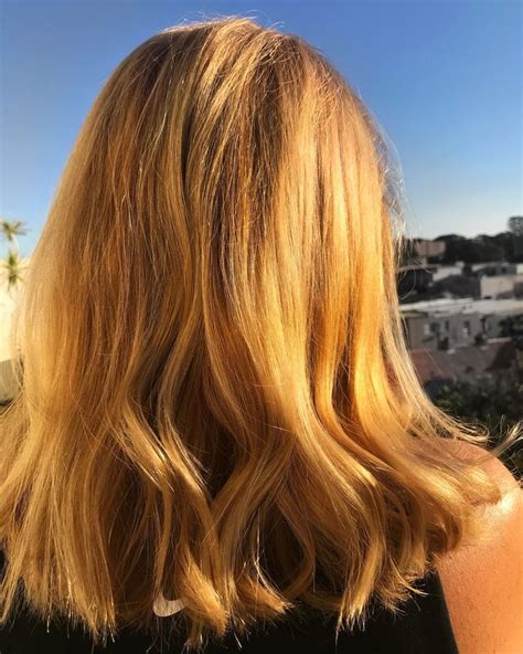 Level 8 Yo Light Golden Blonde Golden Blonde Hair Color Light