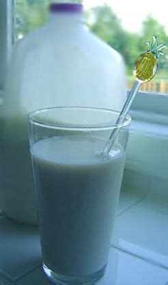 Vanilla Milk Recipe - Genius Kitchen