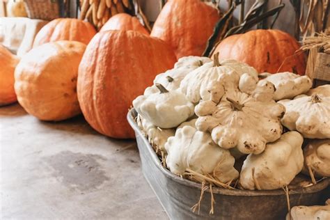 Premium Photo Big Pumpkins And Pattypan Squash For Outdoor Decoration