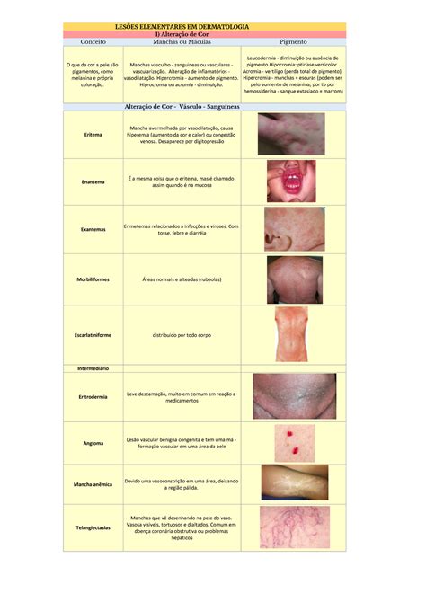 Lesões Elementares Em Dermatologia REVOEDUCA