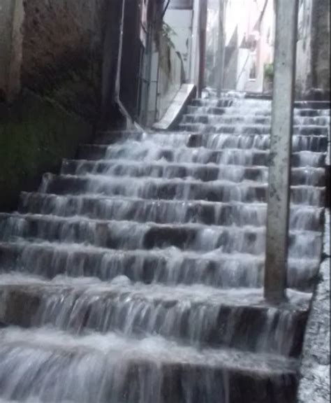 Ibge Faz Concurso Imagens De Recenseadores Veja Fotos