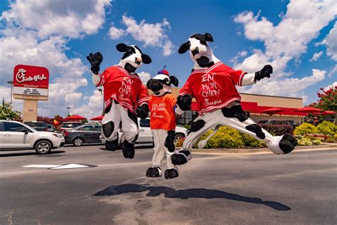 The Creator Of The Cow Campaign For Chick Fil A Storyteller