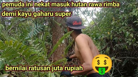 SUBHANALLAH PEMUDA INI NEKAT MASUK HUTAN RAWA BUAYA DEMI MENGAMBIL