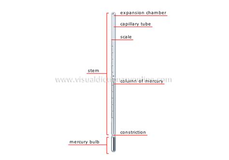 SCIENCE :: MEASURING DEVICES :: MEASURE OF TEMPERATURE :: CLINICAL ...