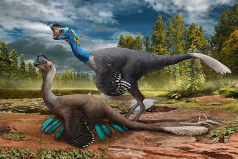 Dinosauri L Oviraptor Covava Le Uova Come Un Uccello Focus It