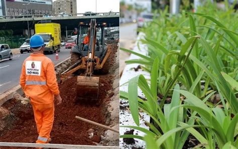 Jardins De Chuva Em Sao Paulo Neg Cios Flores