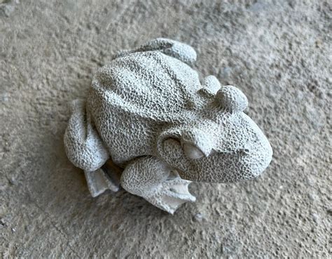 Garden Frog Concrete Garden Statue Toad Figure Cement Etsy