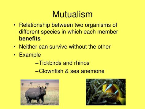 Mutualism Examples Of Animals